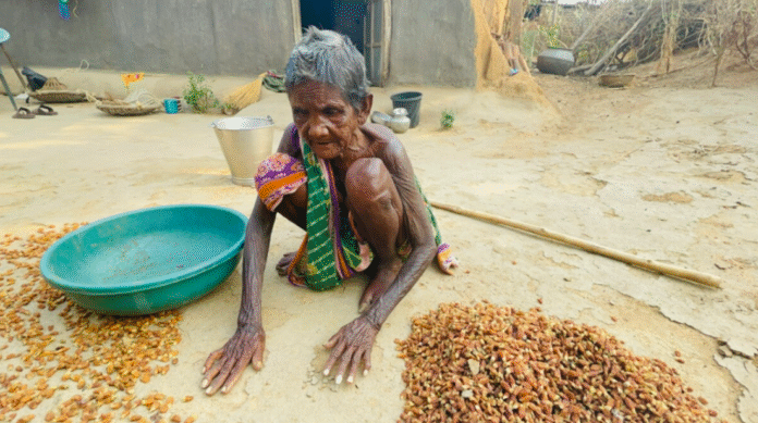 Digital Welfare Divide Digital Welfare Divide